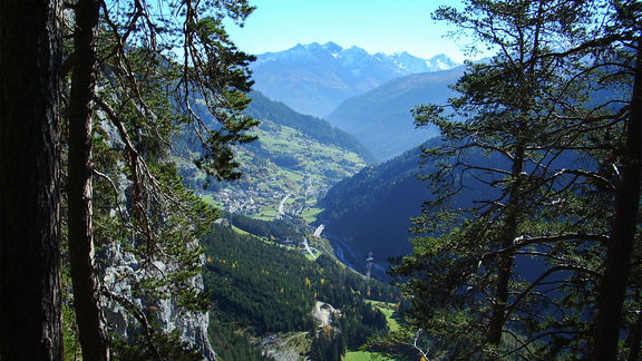 Impressionen - Zellerhof in Ruhpolding